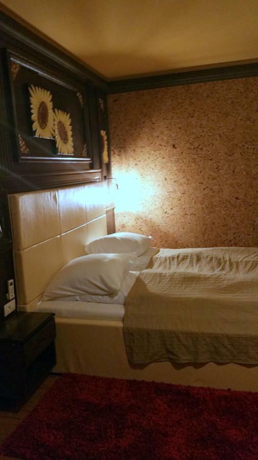 Hotel Golden Spirit Băile Herculane Buitenkant foto